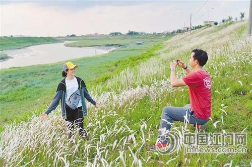 中國(guó)僑網(wǎng)