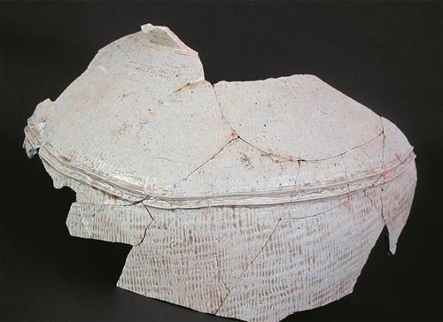 中國僑網(wǎng)永春苦寨坑原始青瓷窯址出土的青瓷尊殘片 (新華)