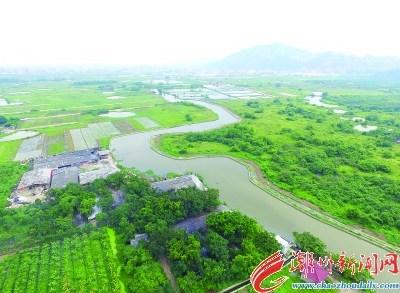 中國(guó)僑網(wǎng)整治后的十板橋溪周圍環(huán)境干凈整潔,水面清澈明凈。 陳曉珊 陳秋曉 攝