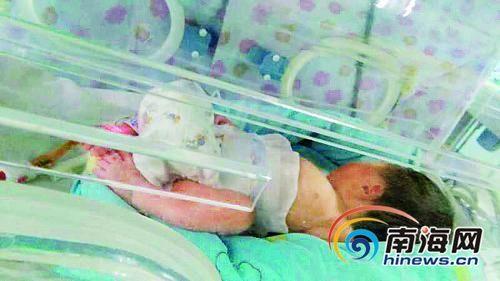 中國(guó)僑網(wǎng)資料圖。(圖片來(lái)源:南海網(wǎng))