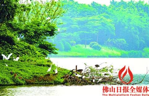 中國(guó)僑網(wǎng)