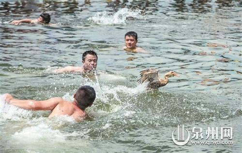 中國(guó)僑網(wǎng)選手們使盡渾身解數(shù)“圍堵”鴨子