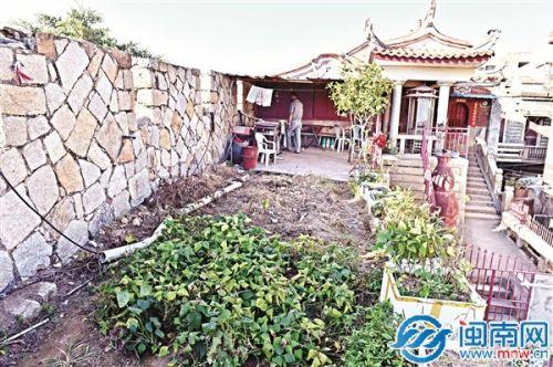 中國僑網(wǎng)古城墻上被占地種菜