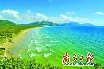 中國(guó)僑網(wǎng)臺(tái)山市川島鎮(zhèn)將改造紅樹林和沙灘防護(hù)林。資料圖片