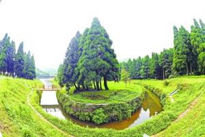 中國僑網(wǎng)墨綠色的圣誕林讓人仿佛置身于某個歐洲小鎮(zhèn)。