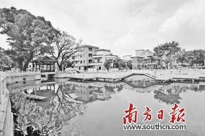 中國僑網(wǎng)南莊龍津村改造后環(huán)境優(yōu)美的良寶維則公園。 戴嘉信 攝