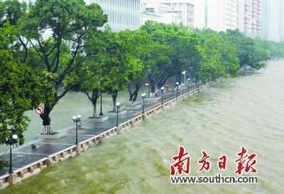 中國僑網(wǎng)廣州珠江河水幾乎漫過海珠廣場的堤岸。南方日報(bào)記者 吳偉洪 攝
