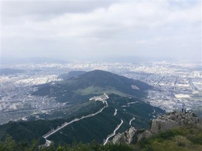 中國(guó)僑網(wǎng)