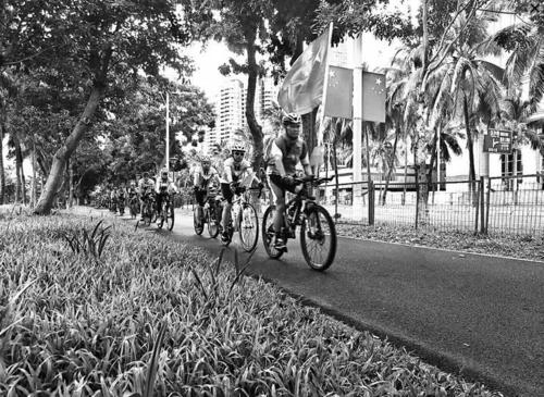 中國(guó)僑網(wǎng)騎行愛好者在進(jìn)行國(guó)慶7天環(huán)島游。(徐偉 攝)