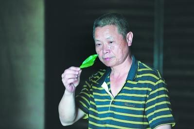 中國僑網(wǎng)鄭明雄在聞茶香。 曾劍郎 攝