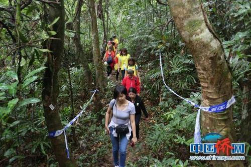 中國僑網(wǎng)資料圖:千人登僑鄉(xiāng)興隆鳳凰山。 卓琳植 攝