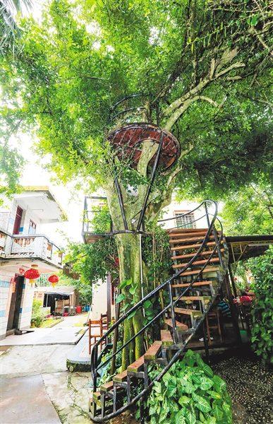 中國僑網(wǎng)瓊海市博鰲鎮(zhèn)南強(qiáng)村。 本報(bào)記者 陳元才 攝