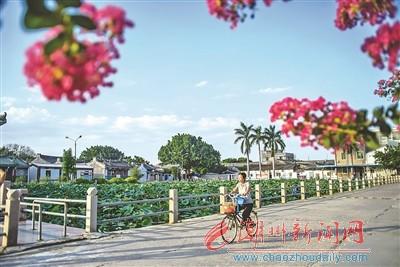 中國僑網(wǎng)龍湖鎮(zhèn)銀湖村容村貌