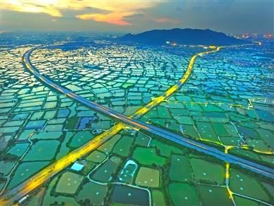 中國(guó)僑網(wǎng)圖片來(lái)源:《廣州日?qǐng)?bào)》 劉鵬飛/攝