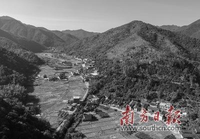 中國(guó)僑網(wǎng)綠意盎然的隆文鎮(zhèn)盧溪村。 張贊峰 攝