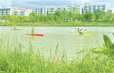 中國僑網(wǎng)圖/廣州日報(bào)全媒體記者廖雪明