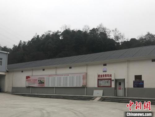 中國(guó)僑網(wǎng)就業(yè)扶貧車(chē)間 趙強(qiáng) 攝