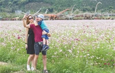 中國(guó)僑網(wǎng)資料圖:2020年1月1日,游客在三亞水稻國(guó)家公園游覽。本報(bào)記者 武威 攝