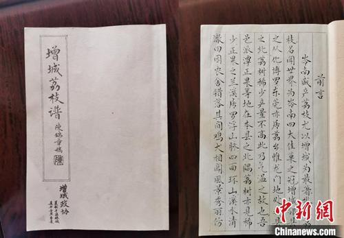 中國(guó)僑網(wǎng)陳錦章手寫(xiě)的《增城荔枝譜》(資料圖) 廣州市增城區(qū)委宣傳部 供圖