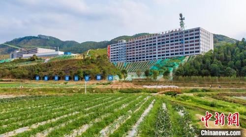 中國(guó)僑網(wǎng)廣州金農(nóng)增城現(xiàn)代生態(tài)農(nóng)牧一體化產(chǎn)業(yè)基地 廣州市增城區(qū)委宣傳部 供圖