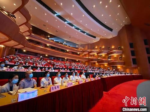 中國(guó)僑網(wǎng)論壇現(xiàn)場(chǎng) 麗水宣傳部供圖