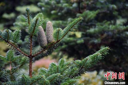 共富浙江觀(guān)察：金融力量助力山區(qū)拓寬“兩山之路”