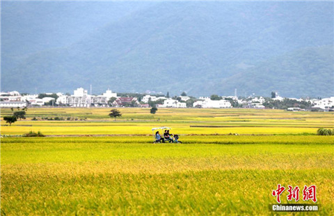 今年政府工作報(bào)告為何沒(méi)提“九二共識(shí)”？