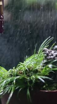 解碼中華文化基因：這么小的園林，憑啥這么火？