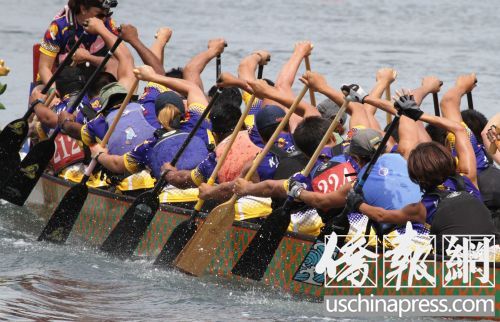 參賽隊(duì)員在奮力向前劃水。(美國(guó)《僑報(bào)》/邱晨