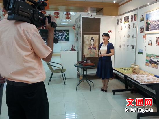 陳冬云參贊介紹中國小屋