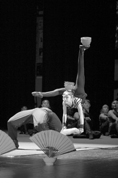 中國(guó)僑網(wǎng)雜技演出現(xiàn)場(chǎng)。(張和清 攝)