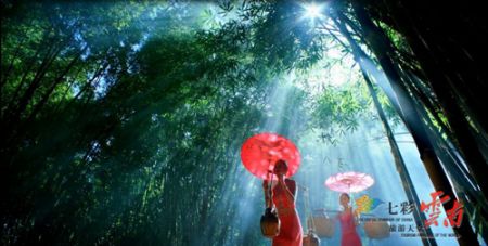 中國僑網(wǎng)(美國《僑報》)