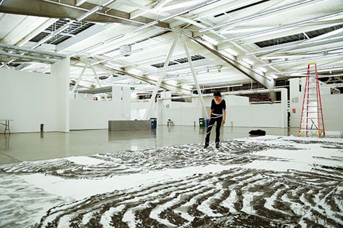 中國(guó)僑網(wǎng)藝術(shù)創(chuàng)作中的田海穌。