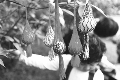 中國(guó)僑網(wǎng)立夏蛋