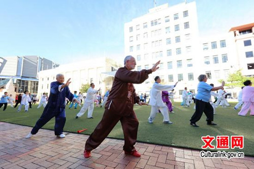 太極愛好者表演24式太極拳