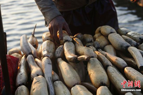 (資料圖:中新社記者劉冉陽