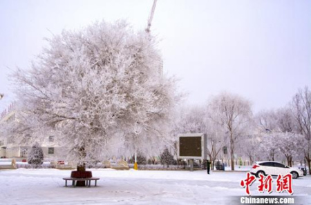 中國(guó)僑網(wǎng)(資料圖:中新網(wǎng)記者王文浩 攝)