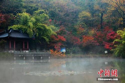 中國僑網(wǎng)中新網(wǎng)資料圖