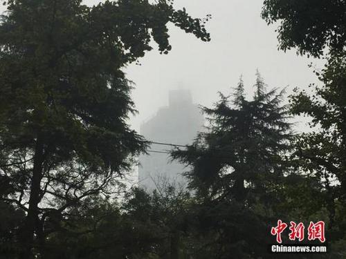 中國僑網(wǎng)(中新網(wǎng)資料圖 楊顏慈 攝)