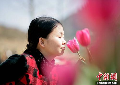 中國(guó)僑網(wǎng)資料圖(中新社記者 張暉 攝)