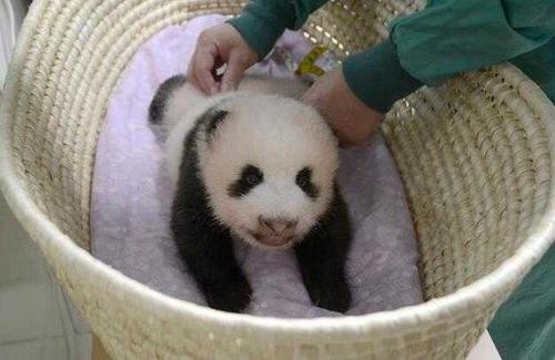 中國(guó)僑網(wǎng)