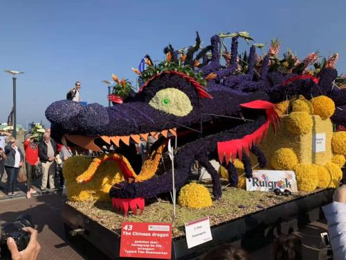 中國(guó)僑網(wǎng)資料圖(中國(guó)駐荷蘭大使館網(wǎng)站)