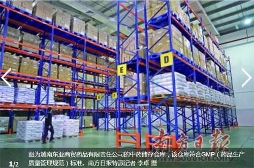 中國僑網(wǎng)圖為越南東亞商貿(mào)藥品有限責任公司的中藥儲存?zhèn)}庫,該倉庫符合GMP(藥品生產(chǎn)質(zhì)量管理規(guī)范)標準。南方日報特派記者 李卓 攝