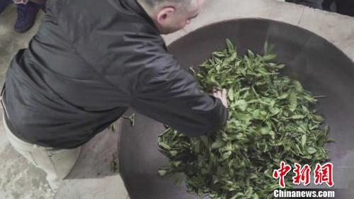 中國(guó)僑網(wǎng)美國(guó)人付德明體驗(yàn)“殺青” 鐘欣 攝