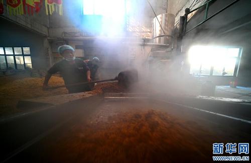 中國(guó)僑網(wǎng)(新華網(wǎng)/王雷 攝)