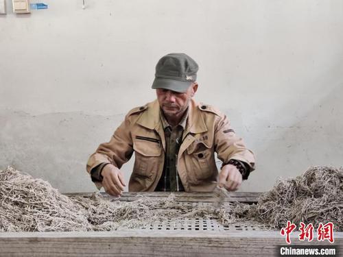 中國僑網(wǎng)宣紙制作流程——選料 廖宇翔 攝