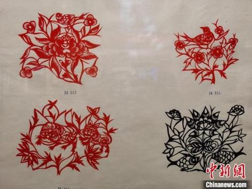 中國僑網(wǎng)安塞剪紙作品。黨田野攝